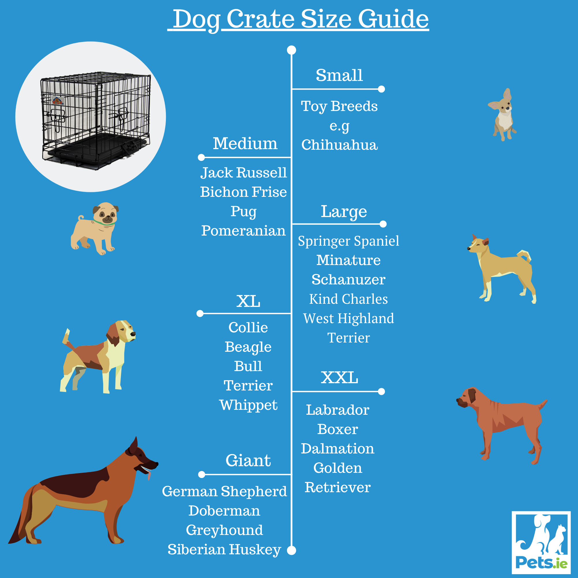 What Size Crate Is Good For A Cocker Spaniel